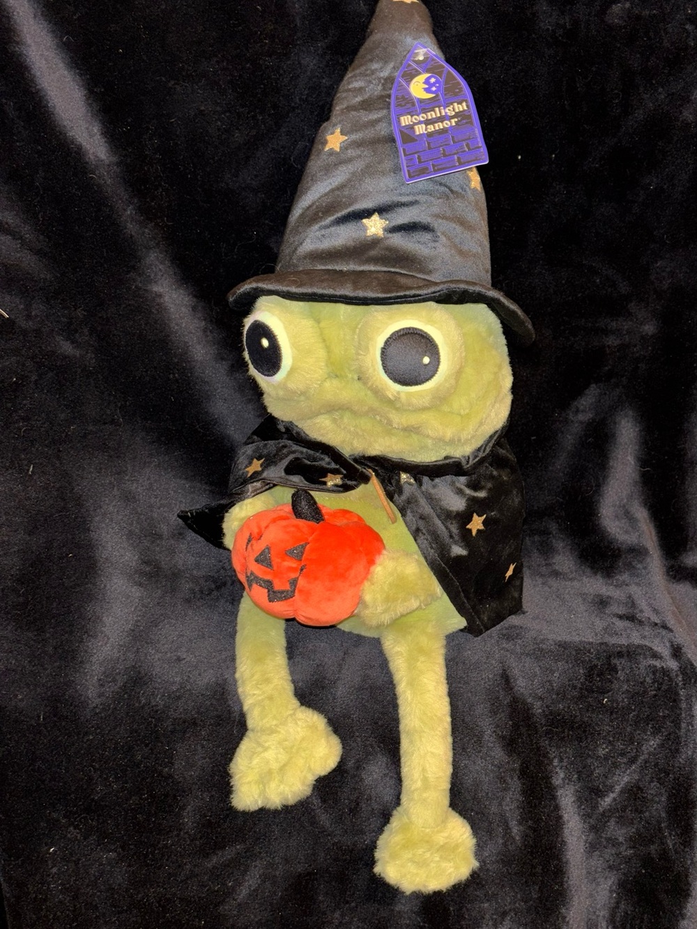 Moonlight Manor Halloween Wizard Frog Plush Pumpkin Weighted Decor NEW